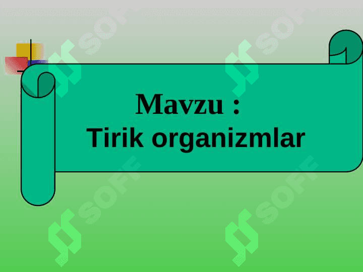 1-sinf tabiiy fan Tirik organizmlar 2