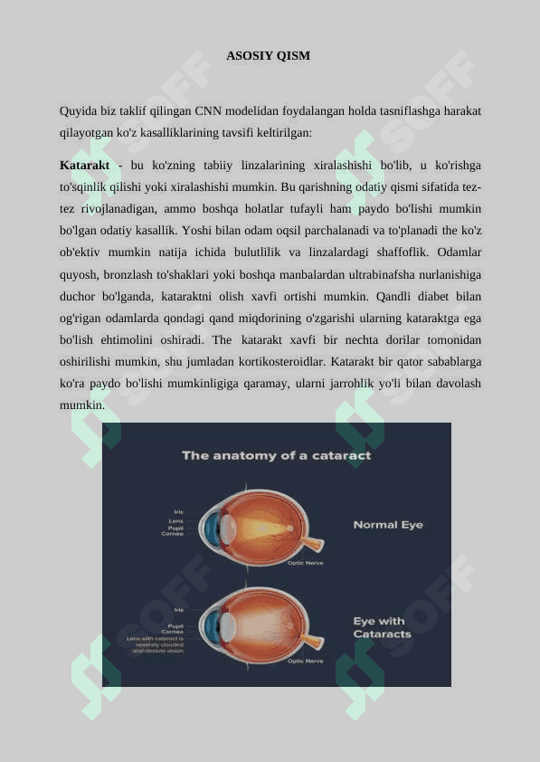 Individyual Loyiha Sun’iy intellekt usullari yordamida ko'z kasalliklarini aniqlash dasturini ishlab chiqish 6