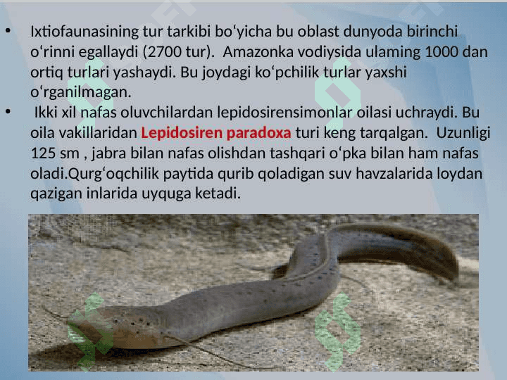 Baliqlarning zoogeografik tarqalishi 4