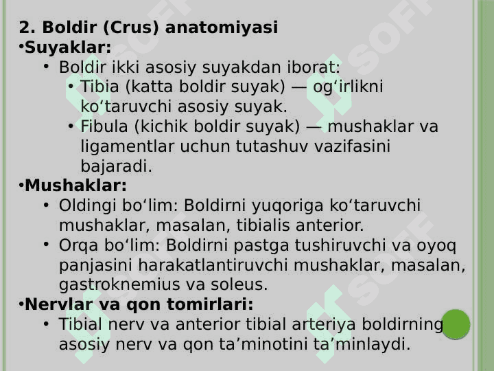 OYOQNING KILINIK ANATOMIYASI 5