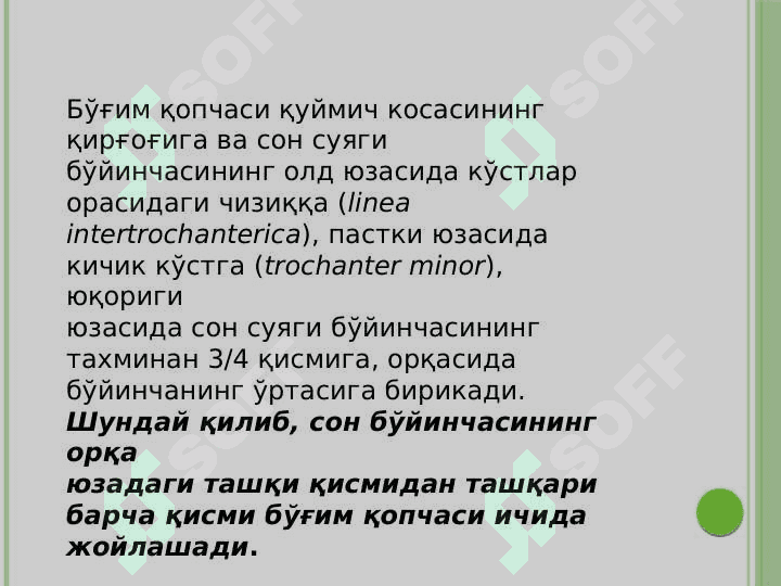 OYOQNING KILINIK ANATOMIYASI 8