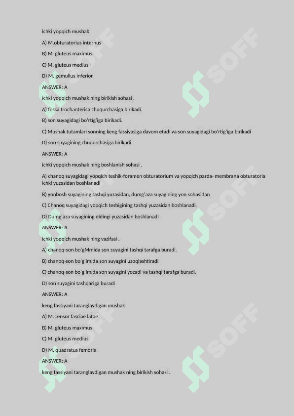 Anatomiya fanidan test - muskullar 4