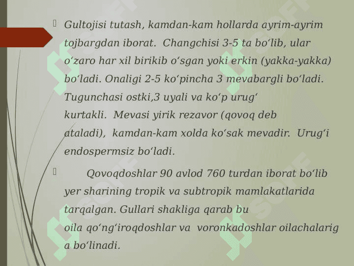 Qovoqdoshlar oilasi 3