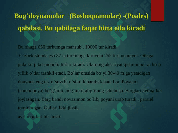 Bug'doydoshlar oilasi 3