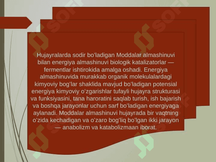Hujayrada moddalar, energiya va malumotlar oqimi. Hujayra proliferatsiyasi muammolarining tibbiyotdagi ro'li 4