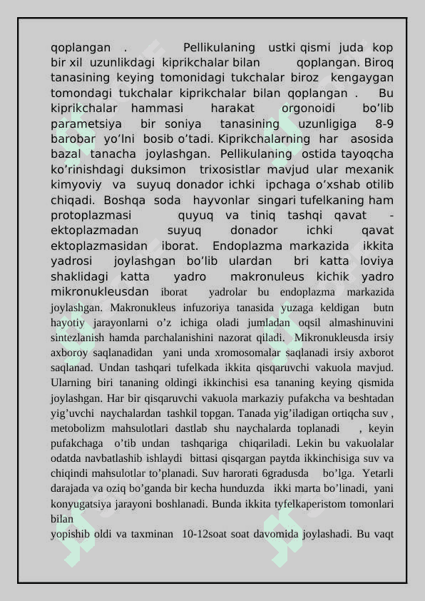 Umurtqasiz hayvonlar azolar tizimi evolutsiyasi 8