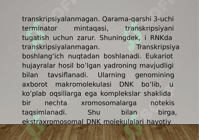 3-Mavzu: Genomlar xilma-xilligi va ularning strukturasi. 6