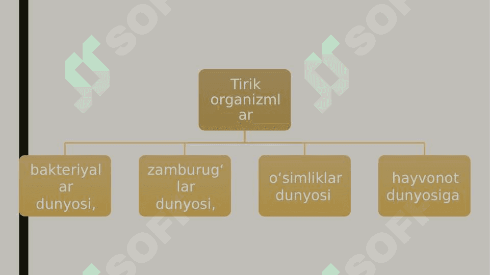 Tirik organizmlarning xilma xilligi 2