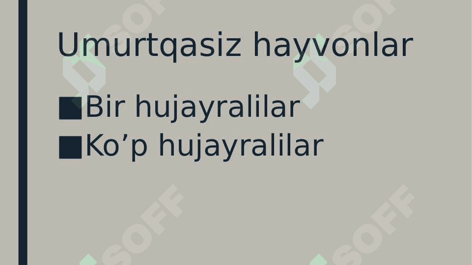 Umurtqasiz hayvonlarning xilma xilligi 2