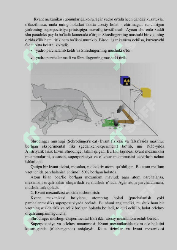 Schrodinger mushugi 4 3