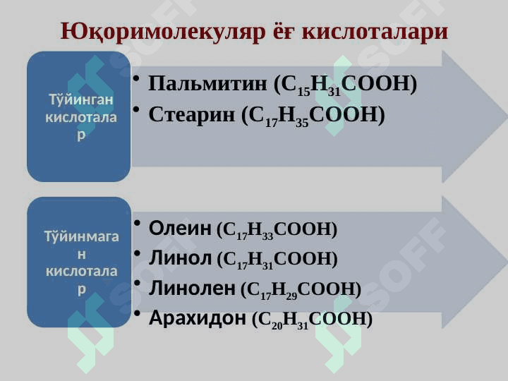 Lipidlar tuzilishi va funksiyalari | Липидлар тузилиши ва функциялари 7