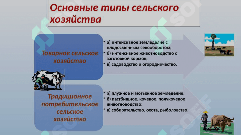 Сельское хозяйство в жизни человека 3
