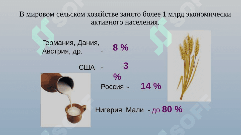 Сельское хозяйство в жизни человека 4