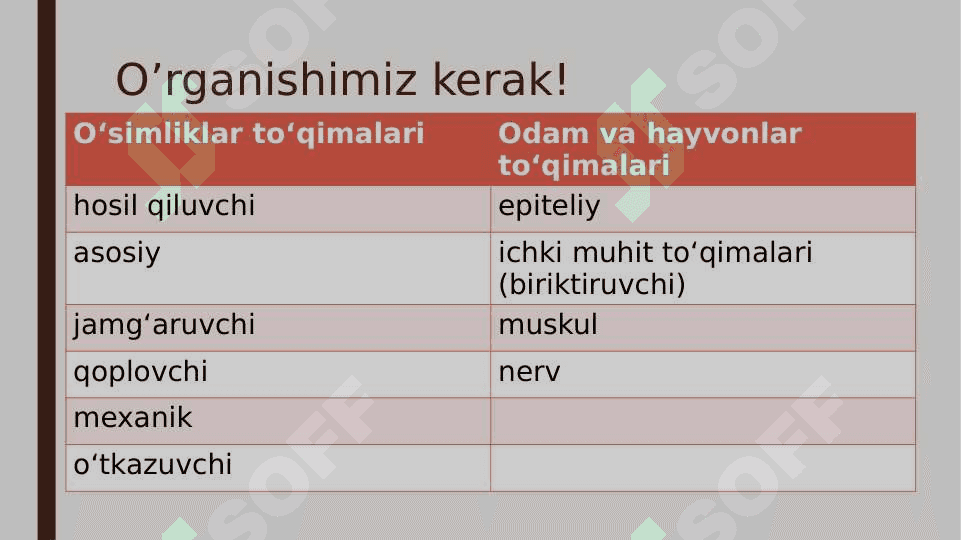To'qimalar 3