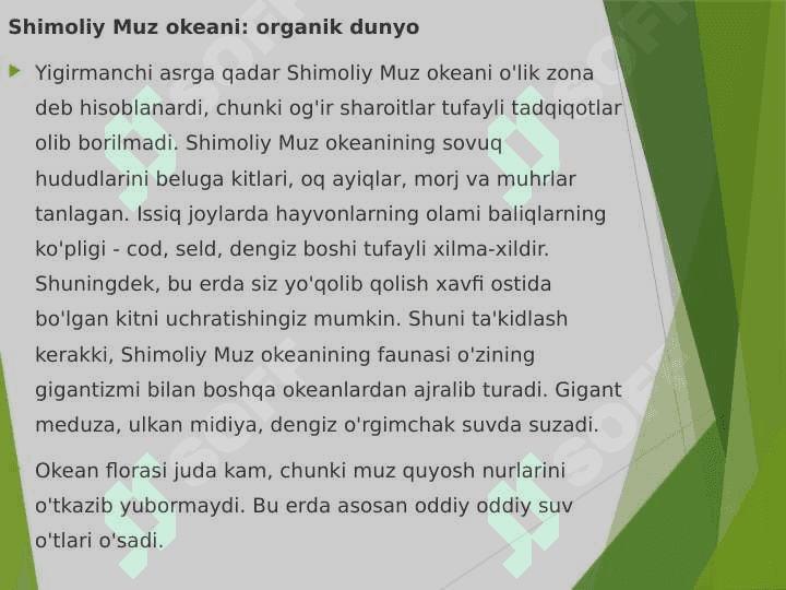 Shimoliy muz okeani 6