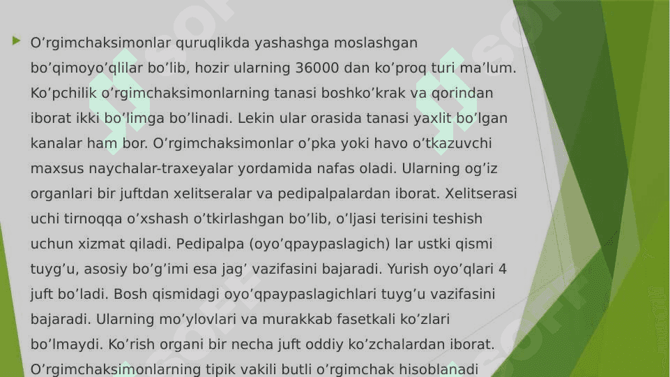 O‘rgimchaksimonlarning tuzilishi va xayotiy jarayonlari 2