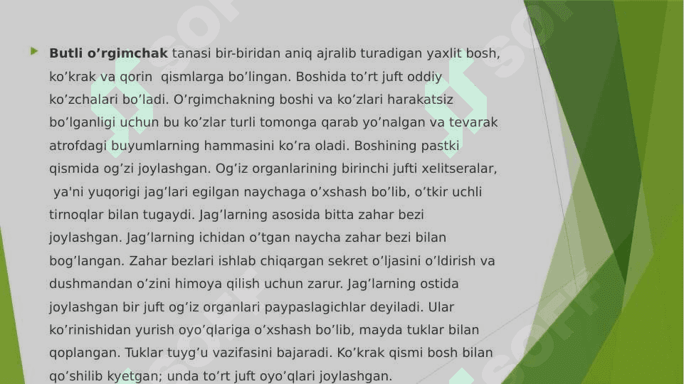O‘rgimchaksimonlarning tuzilishi va xayotiy jarayonlari 3