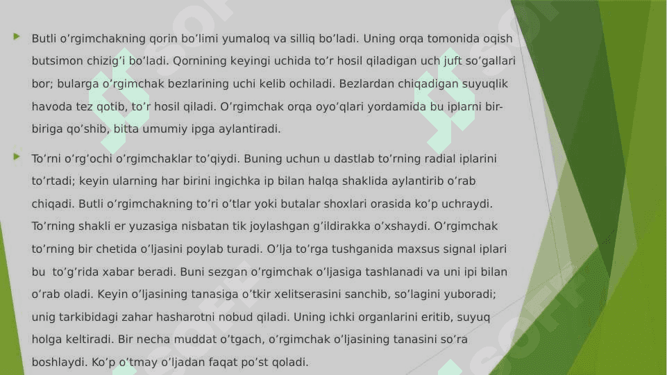 O‘rgimchaksimonlarning tuzilishi va xayotiy jarayonlari 5