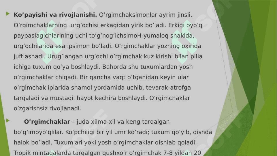 O‘rgimchaksimonlarning tuzilishi va xayotiy jarayonlari 8