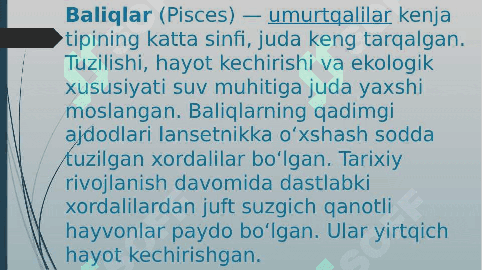 Karpsimon baliqlar sistematikasi 3