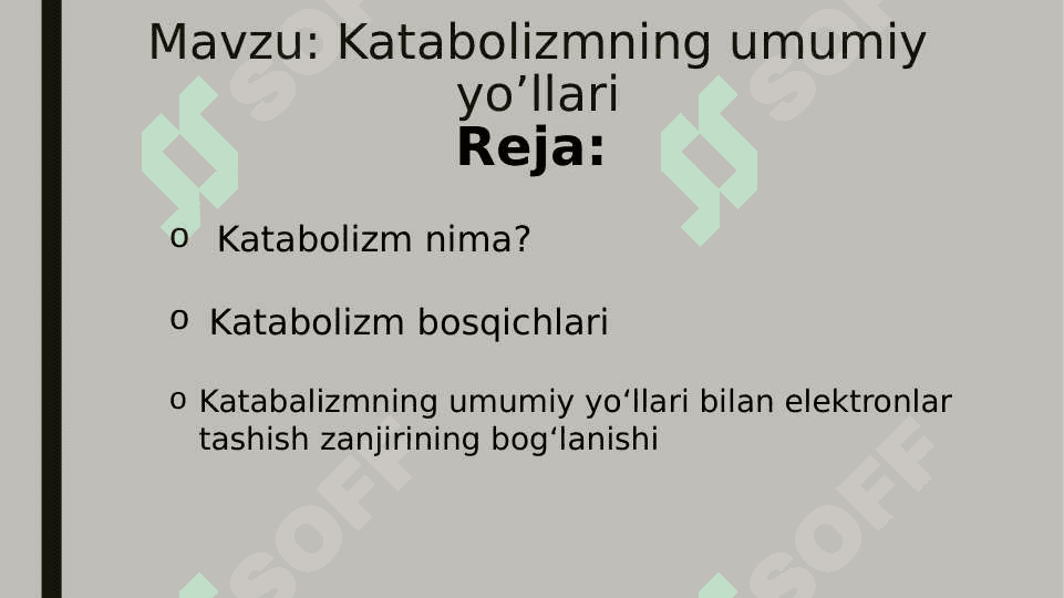 Katabolizmning umumiy yo’llari 2