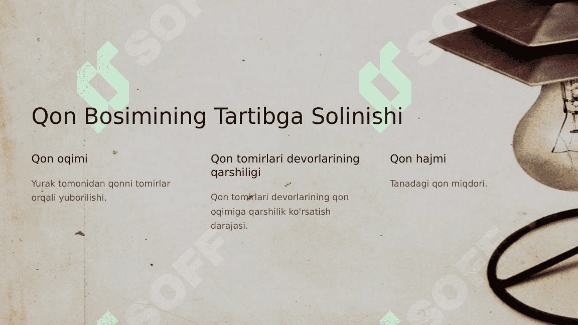 Arterial Bosimni Boshqarishda Buyraklarning Roli 2