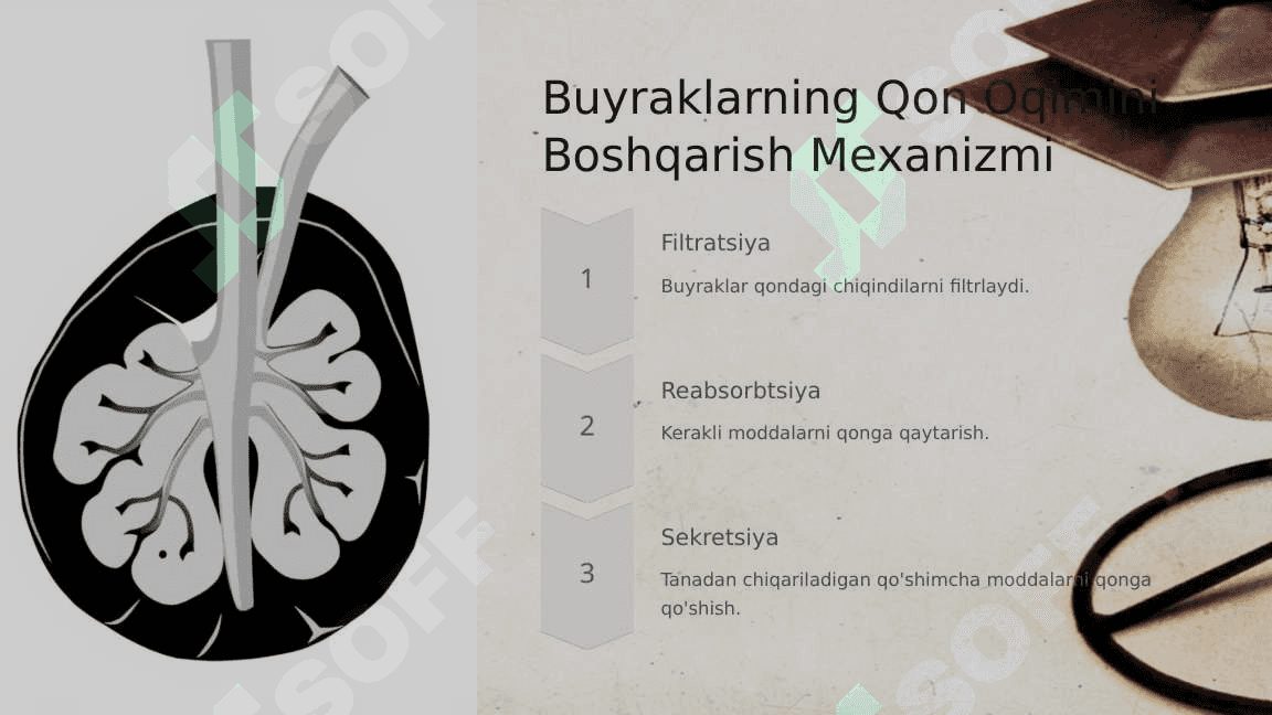 Arterial Bosimni Boshqarishda Buyraklarning Roli 3