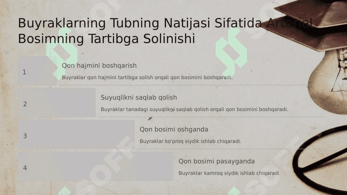 Arterial Bosimni Boshqarishda Buyraklarning Roli 4