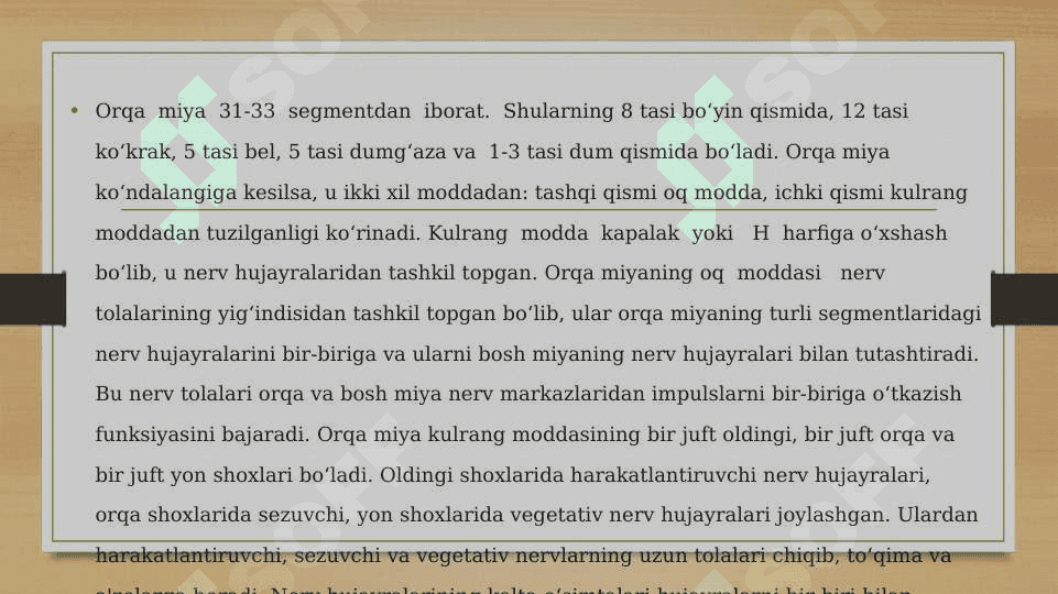 Orqa miyaning tuzilishi 3