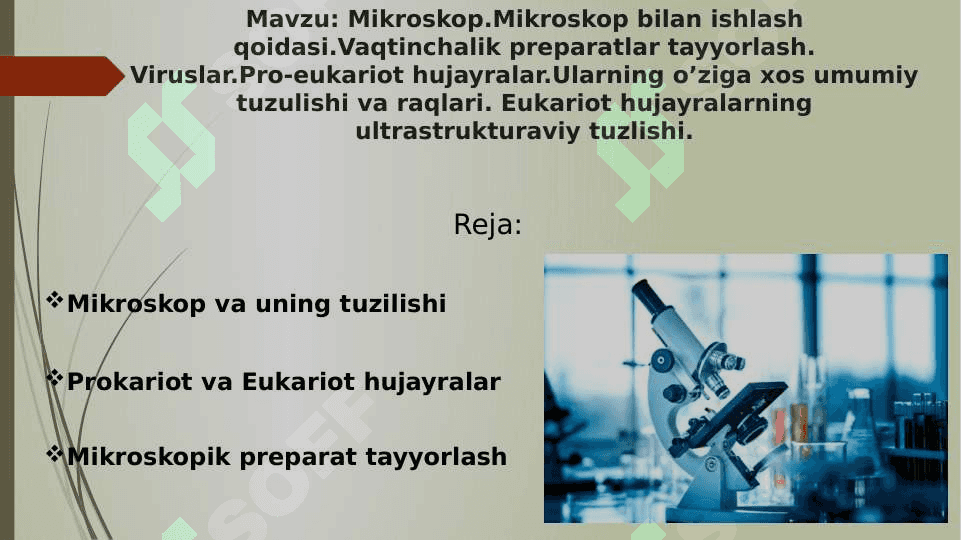 Mikroskop.Mikroskop bilan ishlash qoidasi.Vaqtinchalik preparatlar tayyorlash.Viruslar.Pro-eukariot hujayralar.Ularning o’ziga xos umumiy tuzulishi va raqlari. Eukariot hujayralarning ultrastrukturaviy tuzlishi. 2