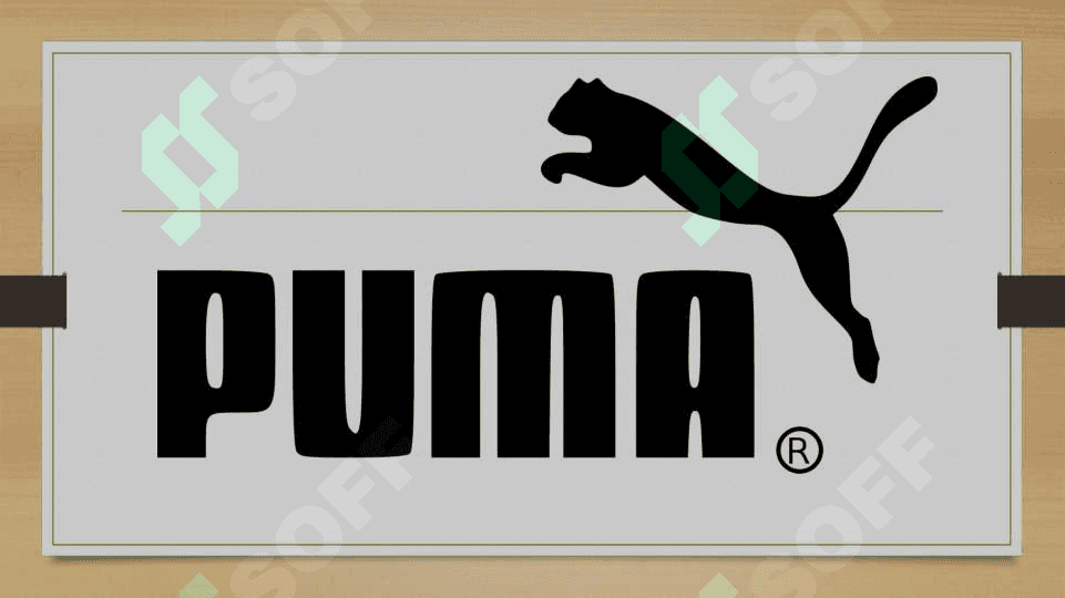 Puma brendi 4