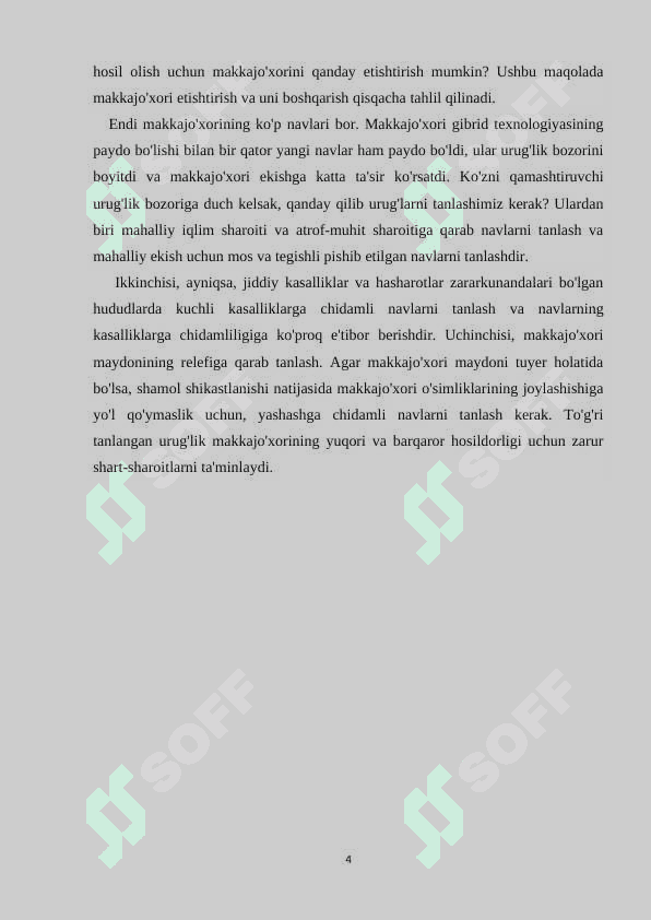 Makkajo’xorin silos uchun o’stirish texnologiyasi 4