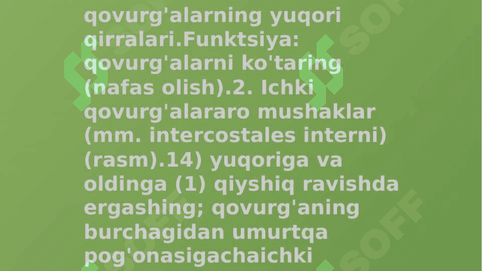 Miologiya mushaklari haqida tushuncha. Gavdaning orqa, yuza va chuqur guruh muskullari. Ularning xususiyatlari 4