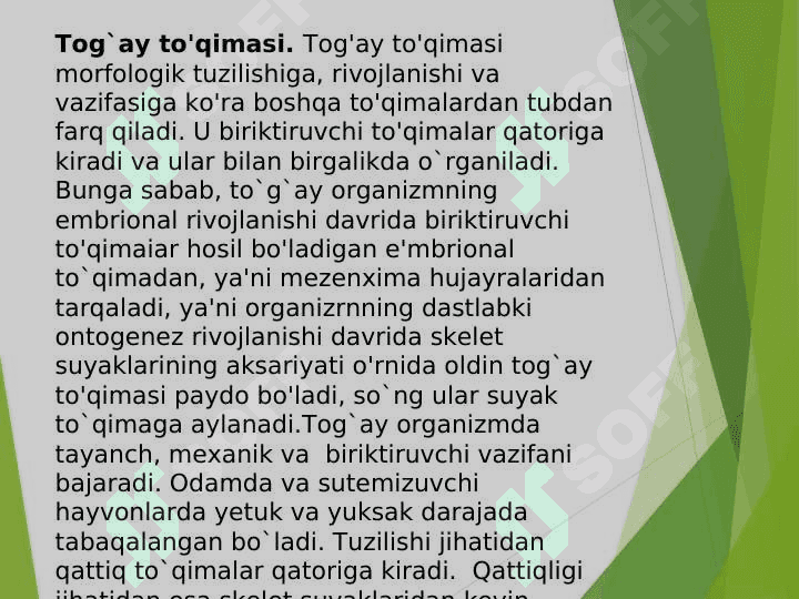 Tog’ay va suyak to’qimasi 2