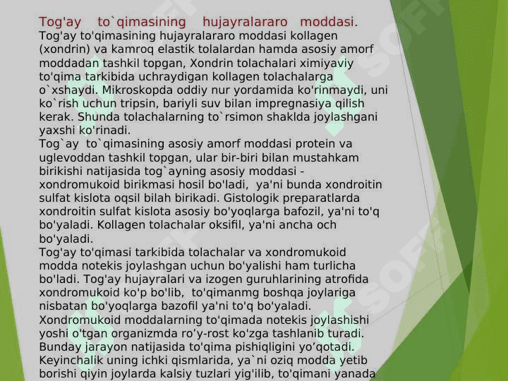 Tog’ay va suyak to’qimasi 6