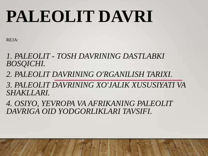 Paleolit davri