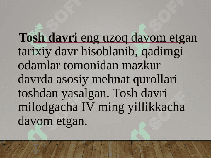 Paleolit davri 3