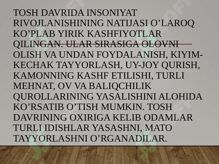 Paleolit davri 4