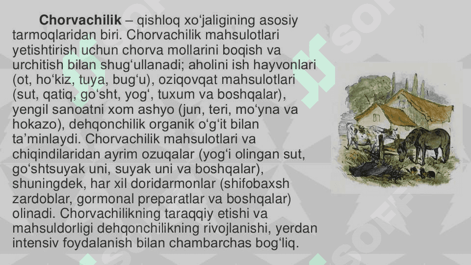 Jahon chorvachilik rivojlanishi geografiyasi 3