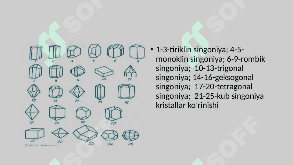 Tog’ jinslari va minerallar 4