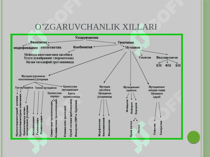 O’ZGARUVCHANLIK VA UNING TURLARI 4