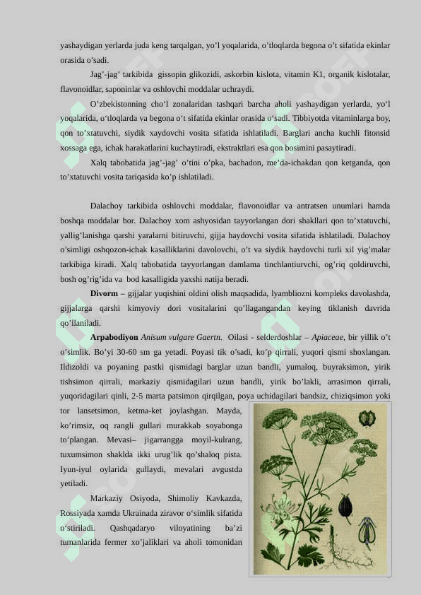 O’zbekistonning foydali o’simliklari 6