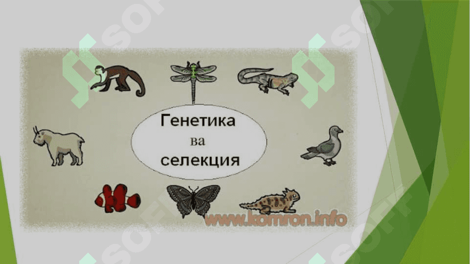 Genetika fani seleksiyaning nazariy asosi ekanligi 4