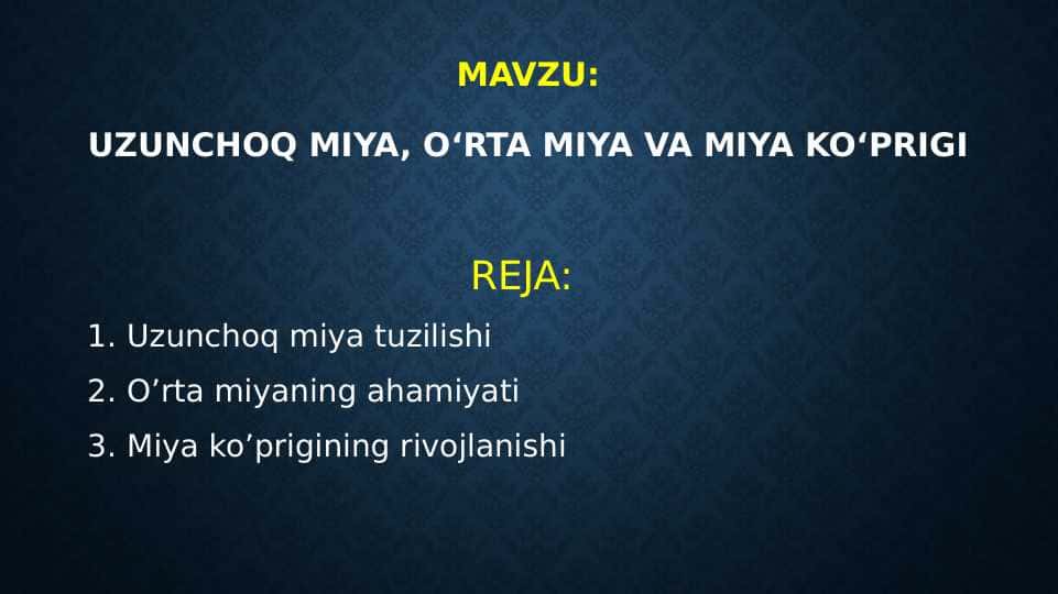 Uzunchoq miya, o‘rta miya va miya ko‘prigi