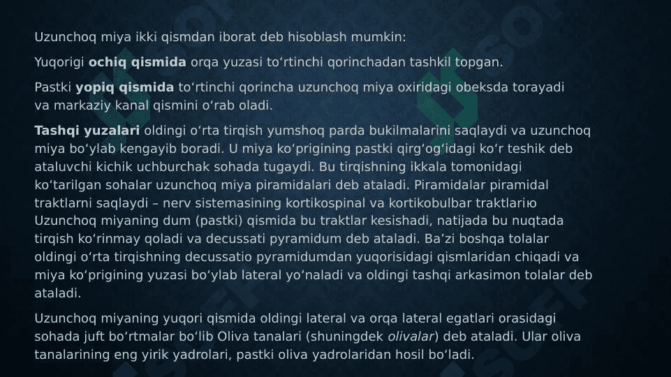 Uzunchoq miya, o‘rta miya va miya ko‘prigi 4