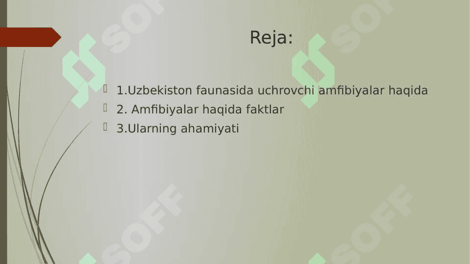 O’ZBEKISTON FAUNASIDA UCHRAYDIGAN SUVDA HAM QURUQLIKDA YASHOVCHILAR HAYOTI VA AHAMIYATI 2