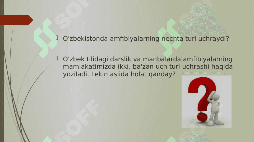 O’ZBEKISTON FAUNASIDA UCHRAYDIGAN SUVDA HAM QURUQLIKDA YASHOVCHILAR HAYOTI VA AHAMIYATI 3