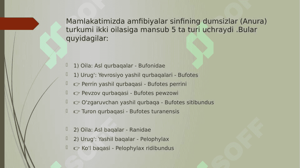 O’ZBEKISTON FAUNASIDA UCHRAYDIGAN SUVDA HAM QURUQLIKDA YASHOVCHILAR HAYOTI VA AHAMIYATI 4
