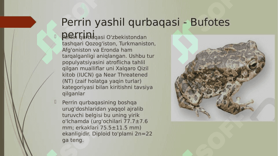 O’ZBEKISTON FAUNASIDA UCHRAYDIGAN SUVDA HAM QURUQLIKDA YASHOVCHILAR HAYOTI VA AHAMIYATI 5