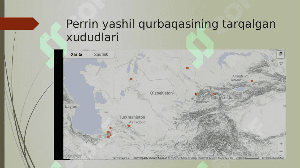 O’ZBEKISTON FAUNASIDA UCHRAYDIGAN SUVDA HAM QURUQLIKDA YASHOVCHILAR HAYOTI VA AHAMIYATI 7
